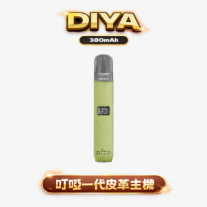 DIYA 一代皮革主機