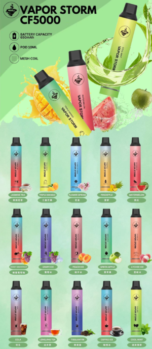 Alternative view of VAPOR STORM 風暴系列5000口拋棄式電子煙 – 10ml大容量 650mAh Type-C快充 Mesh霧化 硬派風暴設計