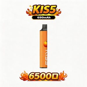 KIS5 鎧斯6500口拋棄式電子煙 雙芯磁吸混搭 Type-C快充 桂花綠茶+薄荷+葡萄等組合 台灣現貨